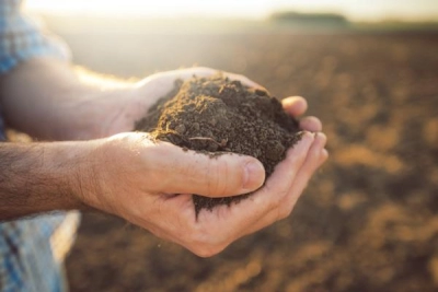 Capacitación en Abonos Orgánicos para cultivos ecológicos
