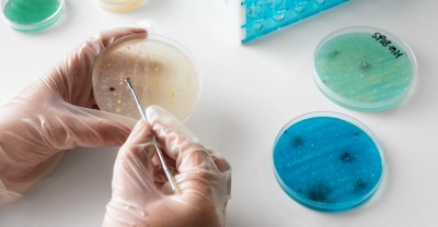Capacitación en Laboratorio de Anatomía Patológica