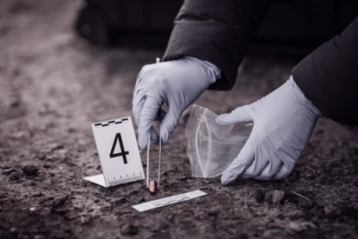 Seguridad - Forense