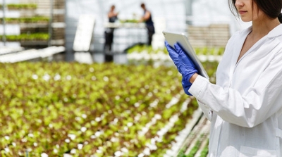 Introducción a la carrera de Ingeniería Agroalimentaria