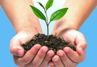 Técnico Auxiliar en Gestión, Protección y Conservación de Espacios Naturales + IA (Premium con Doble Certificación)