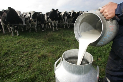 Capacitación en Producción Lechera