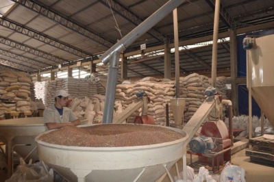 Especialista en Elaboración de Alimentos Balanceados para...