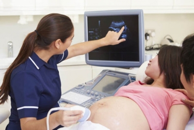 Auxiliar en Ginecología Obstetricia y Reproducción + IA
