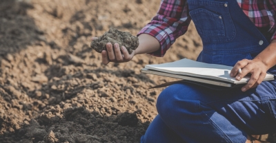 Diplomatura en Medio Ambiente + IA (Premium con Doble Certificación)
