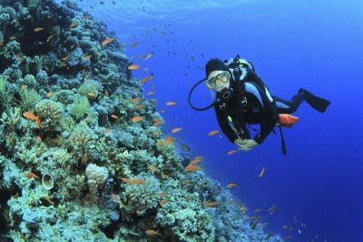 Diplomatura en Oceanografía + IA (Premium con Doble Certificación)