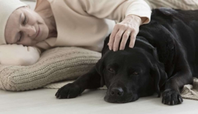 Diplomatura en Terapias con Animales + IA